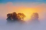 Foggy Sunrise_13464